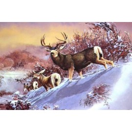 TSN1034 LETRERO LAMINA DECORATIVA BUCK ON THE SNOW